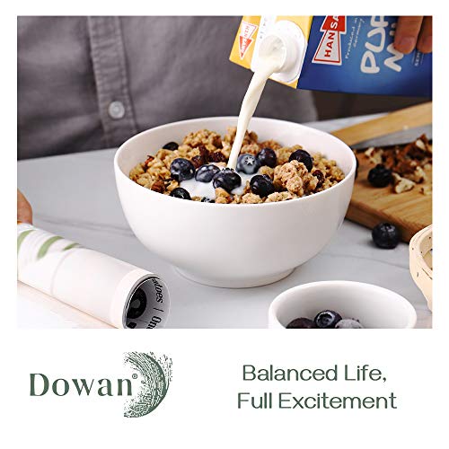 DOWAN Set of 4 White Ceramic Bowls - 22 oz Every - Excellent for Soup, Cereal, Ramen, Oatmeal, Fruit, Salad, and Rice - Dishwasher and Microwave Protected